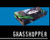 Grasshopper