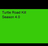 Turtle 1