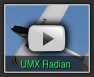 UMX Radian - The Hobby Marketplace