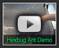 VEX HEXBUG Ant - The Robot MarketPlace