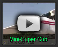 HobbyZone Mini-Super Cub - The Hobby MarketPlace